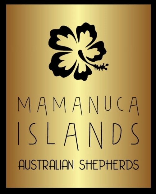 Of Mamanuca Islands